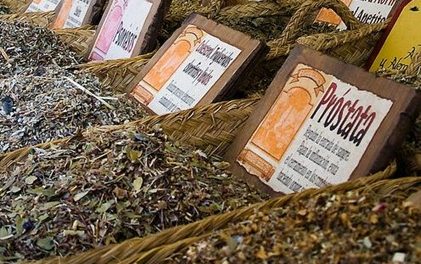 hierbas-trigliceridos