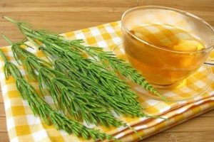 Infusión ideal para bajar el ácido úrico alto