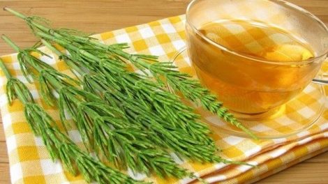 Infusión ideal para bajar el ácido úrico alto