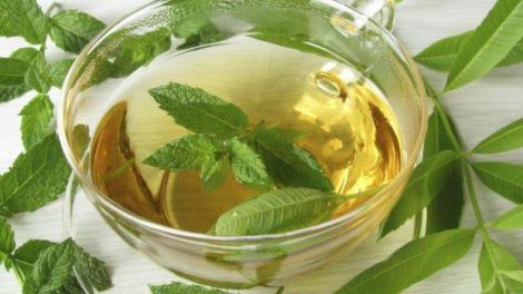 La infusión de hierbaluisa es ideal contra los gases