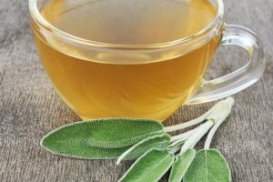 Infusiones expectorantes