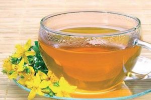 Cómo mejorar tu tránsito intestinal con 3 infusiones