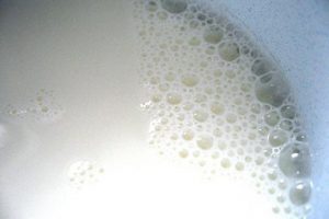 La verdad sobre la leche animal