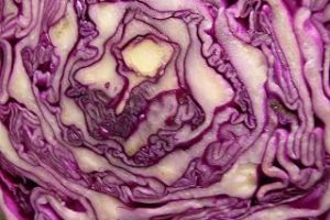 Beneficios de la lombarda