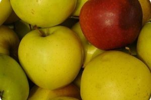 Las manzanas son beneficiosas contra el colesterol