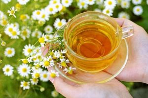 Los beneficios de la manzanilla para la belleza más natural
