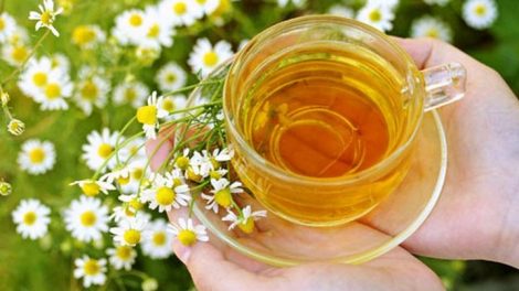 Los beneficios de la manzanilla para la belleza más natural