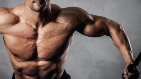 Diferencias entre la masa magra y la masa grasa