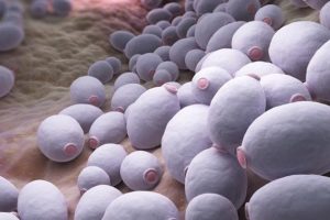 micosis