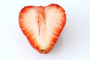Minerales para el corazón