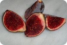 Propiedades de los mucilagos