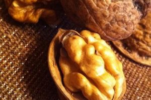 Nutrientes para la depresion
