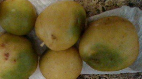 Patatas verdes con sonalina