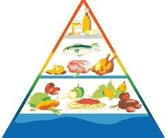 piramide-alimentaria