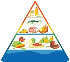 piramide-alimentaria