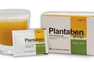 plantaben