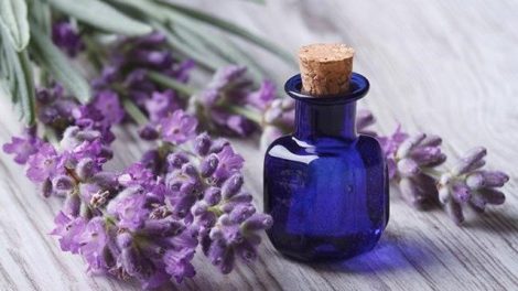 Hierbas ideales para baños relajantes