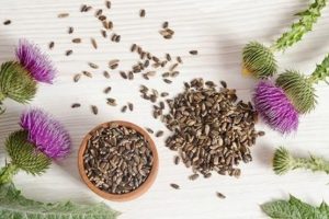 Las mejores plantas para el hígado