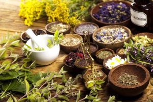 Plantas que mejoran la fertilidad