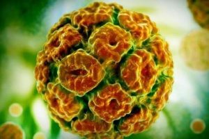 Cómo prevenir el VPH