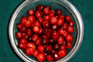 Beneficios de los arándanos rojos