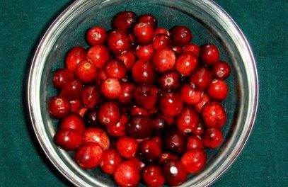 Beneficios de los arándanos rojos