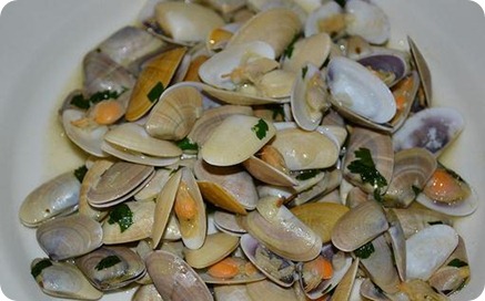 propiedades de las coquinas