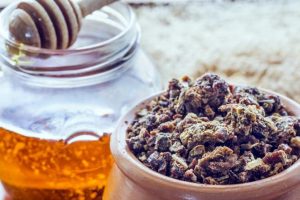 Propoleo o propolis