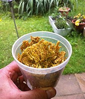 Propolis para la gripe