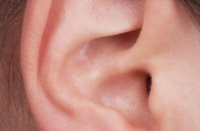 ¿Sabes en qué consiste el tímpano?