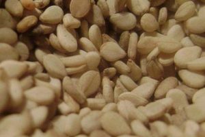 Receta de leche de sésamo