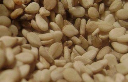 Receta de leche de sésamo