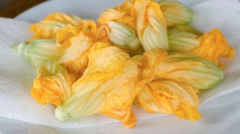 Recetas de flores de calabacín