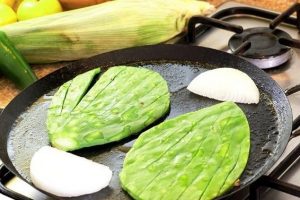 Recetas con nopal