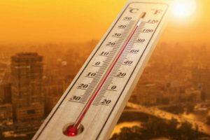 Recomendaciones ante una ola de calor