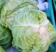 Beneficios del repollo