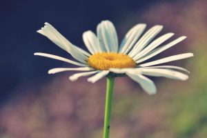 Descubre cómo cuidar tu salud en primavera