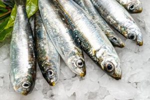 sardinas