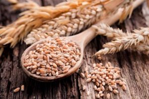 silueta-grano-completo