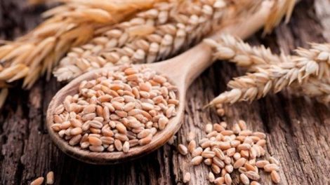 silueta-grano-completo