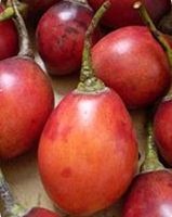 Beneficios del tamarillo
