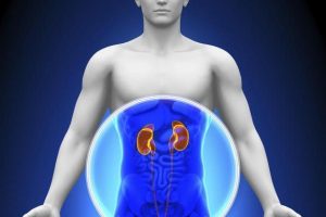 El filtrado glomerular o tasa de filtración glomerular
