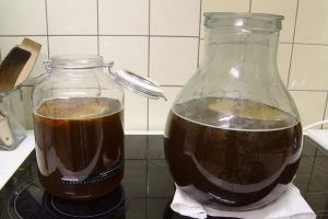 Receta de té de Kombucha