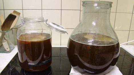Receta de té de Kombucha
