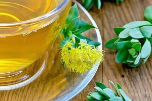 Té de rhodiola