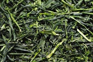 te-sencha