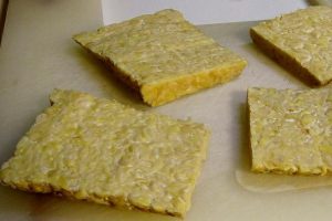 tempeh