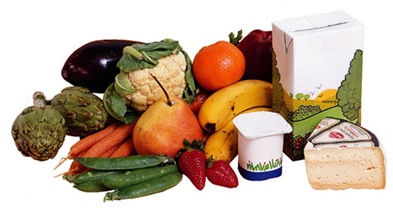 terapia-alimentacion