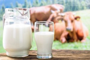 Tipos de leche