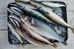 Tipos de pescados azules